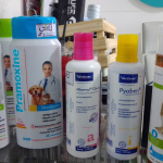 Shampoo