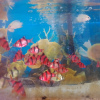 Venta de peces